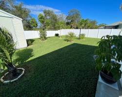 image_6487327