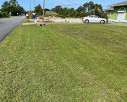 image_67197697