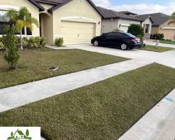 professionallawncareinbrevardcountyfl