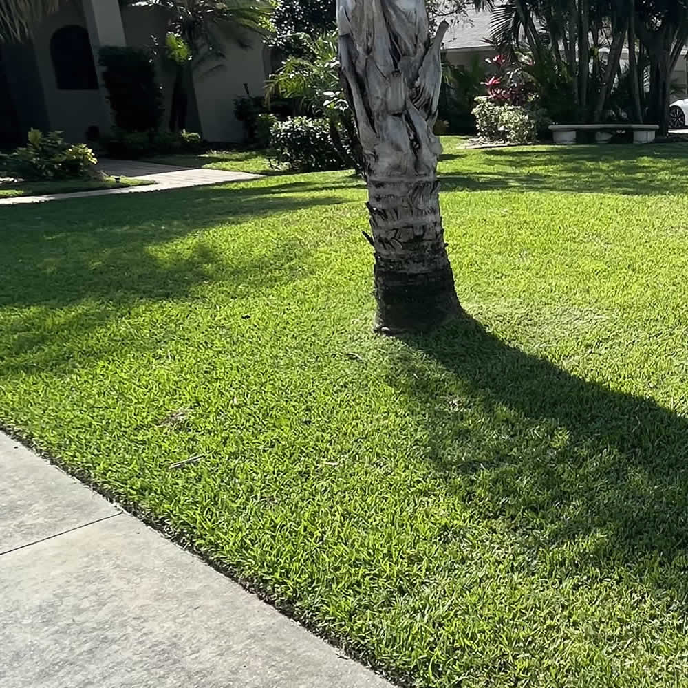Lawn Care Mowing Services
