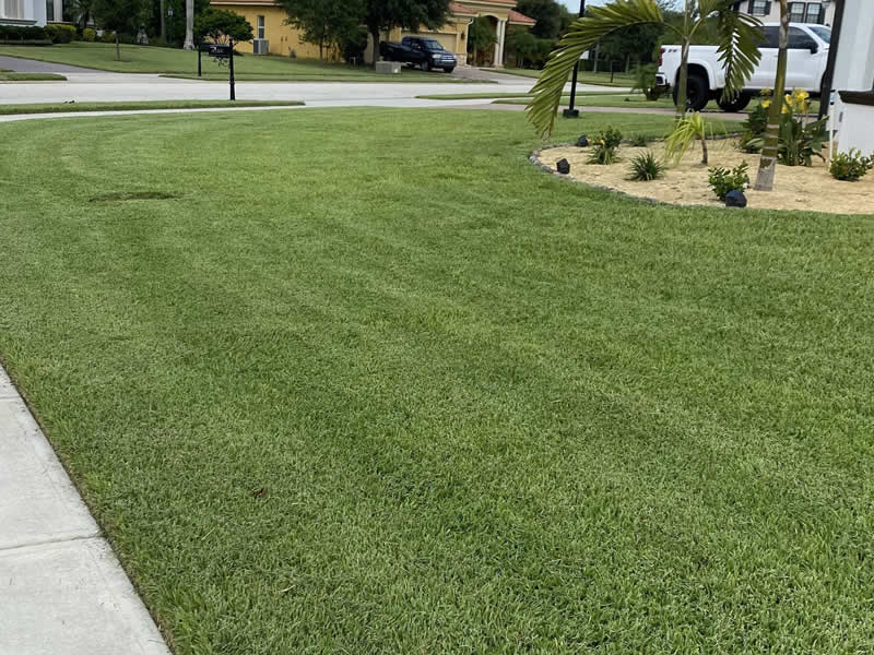 Lawn Care Palm Bay