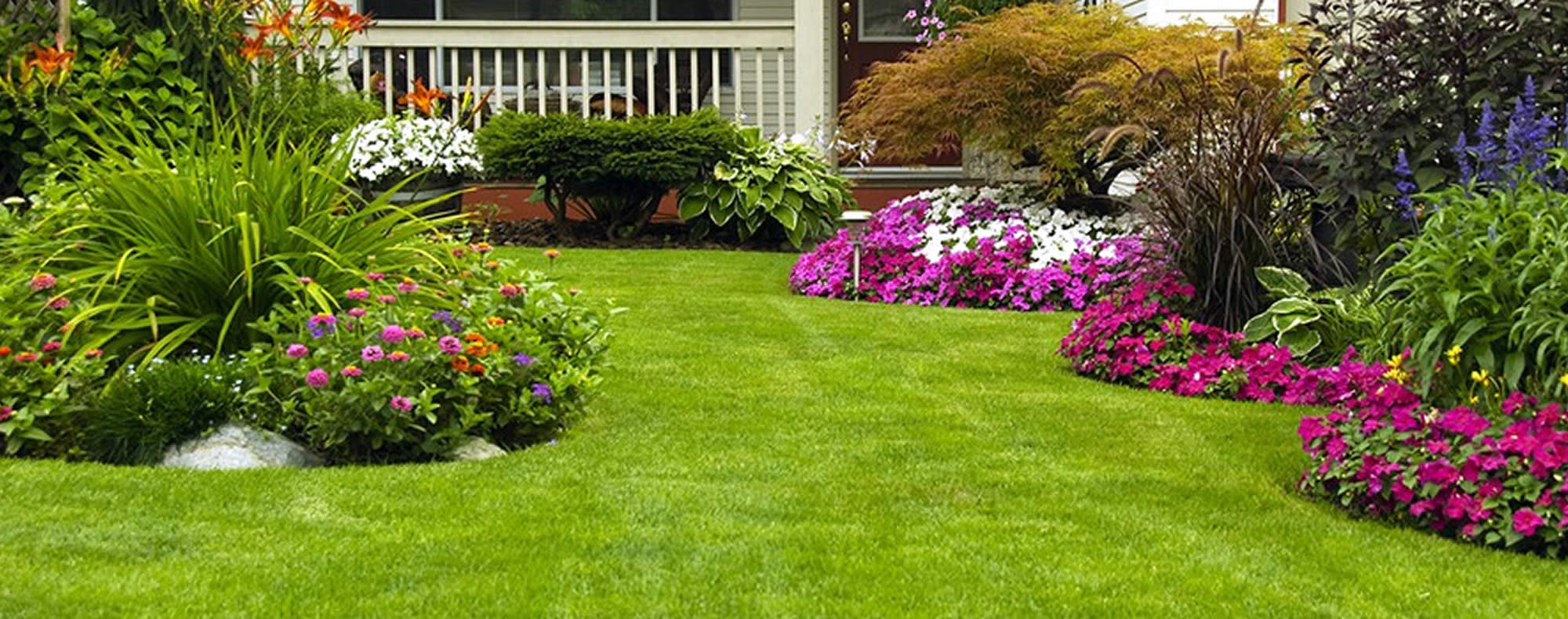 Lawn Care Services near me