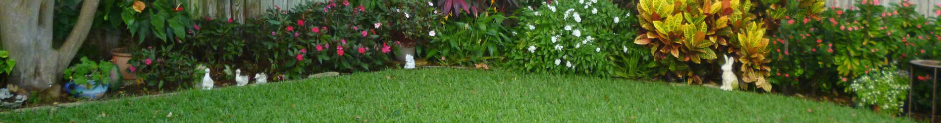 Lawn Care Services near me