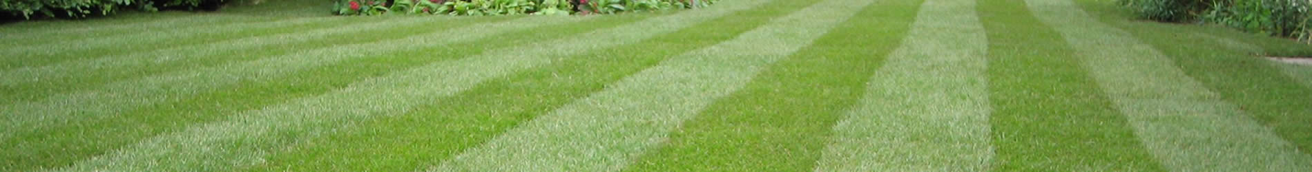 Lawn Care Services near me
