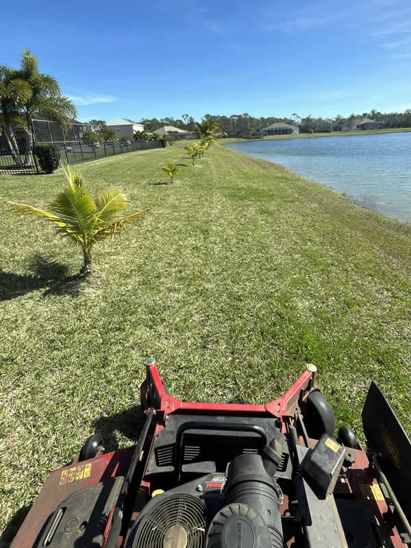 Local Lawn Mowing Company Palm Bay
