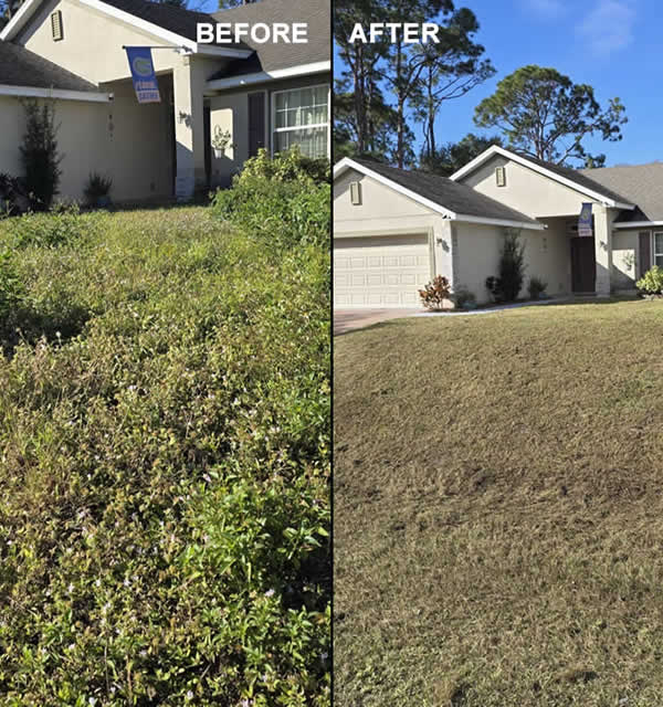 Local Spring & Fall Cleanup Company Palm Bay