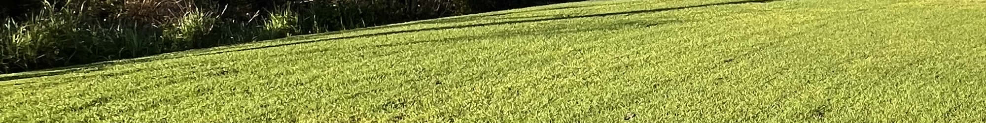 Mulch & Sod Installation near me