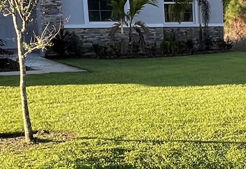 New Sod Installation Palm Bay, Melbourne