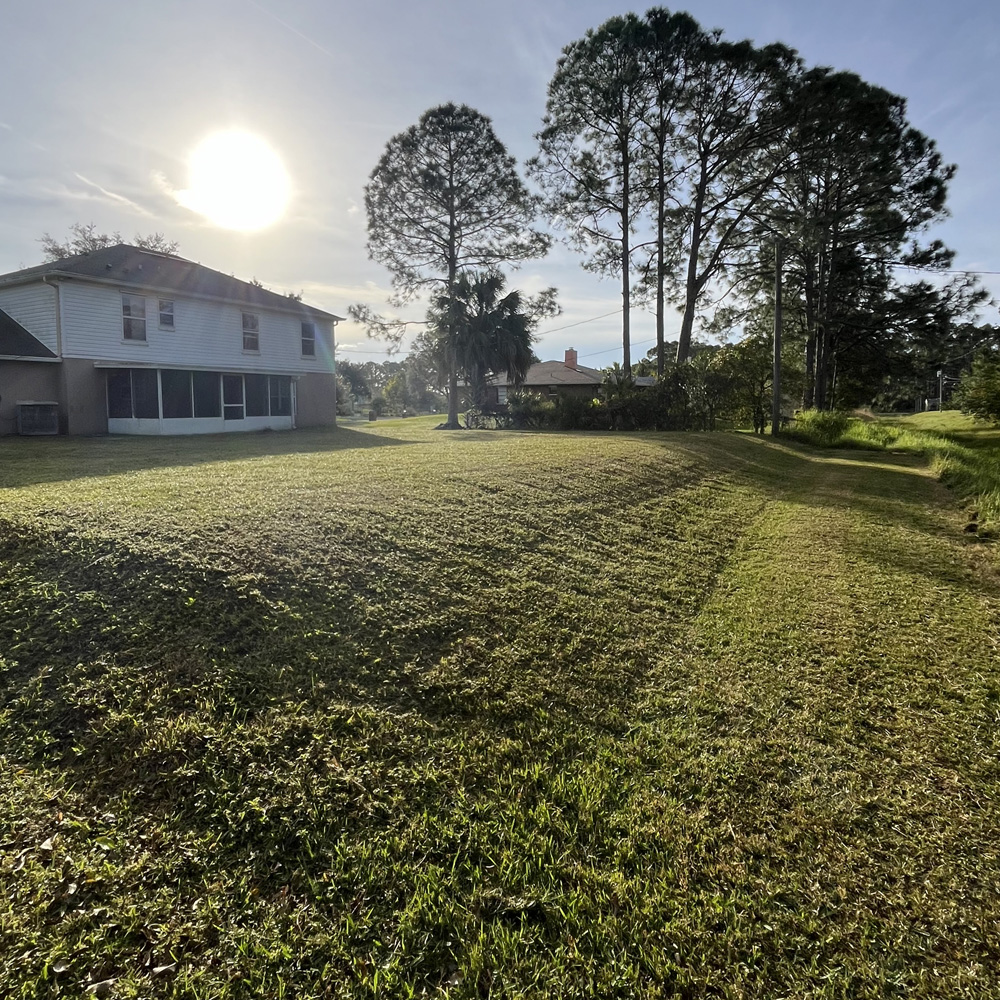 Lawn Care Mowing Services