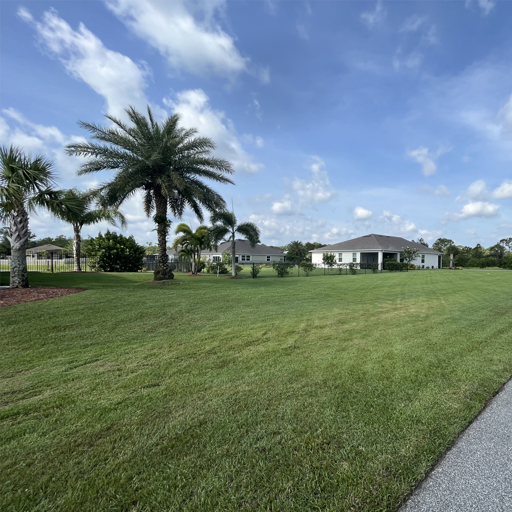 Spring & Fall Cleanup Services